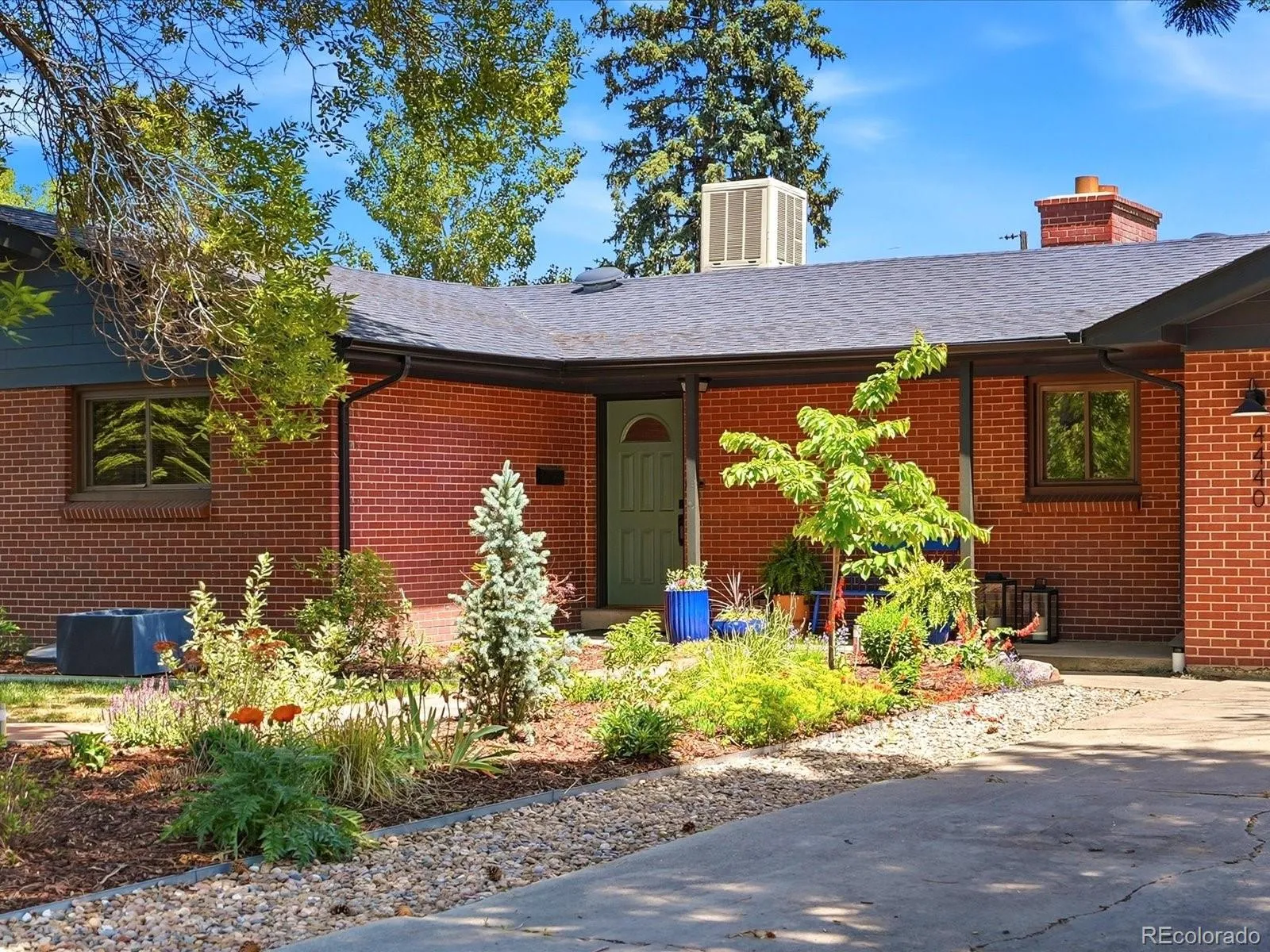 4440 Teller Street Wheat Ridge CO 80033 MLS #REC9017829 05242026053140 1600 2