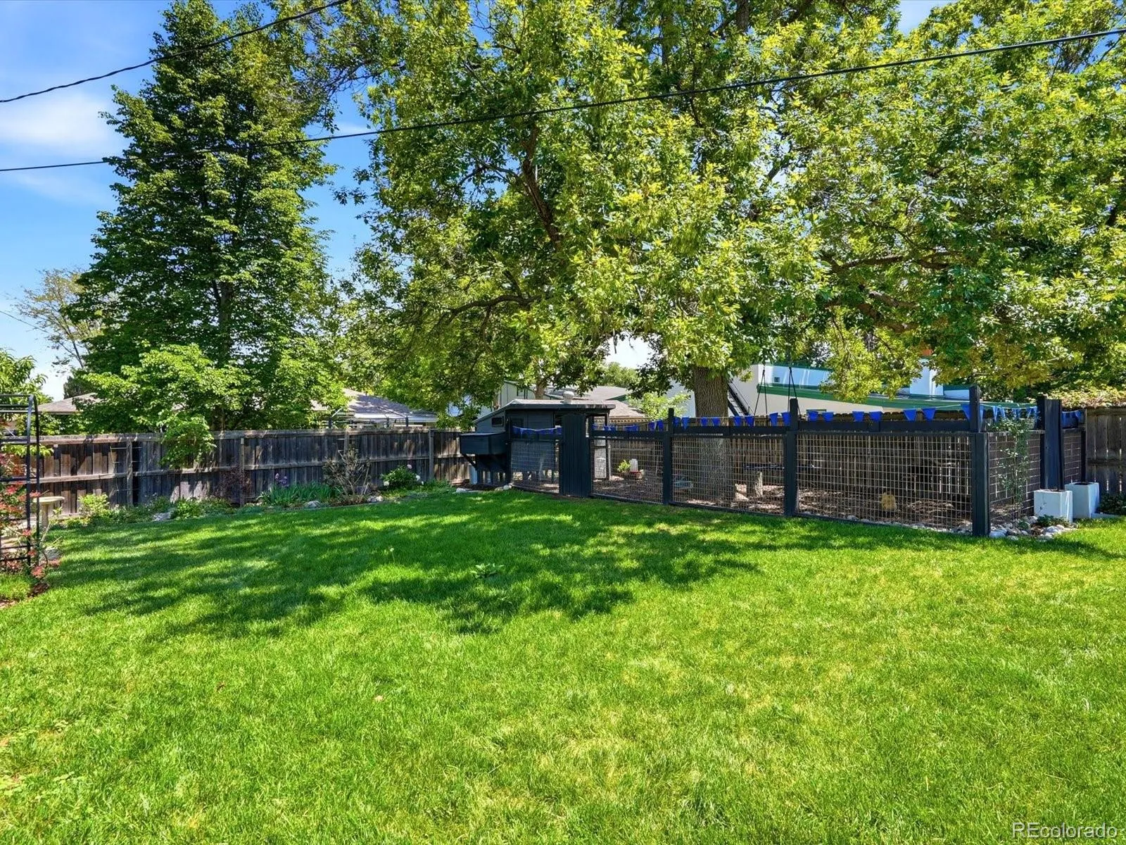 4440 Teller Street Wheat Ridge CO 80033 MLS #REC9017829 05242026053140 1600 41