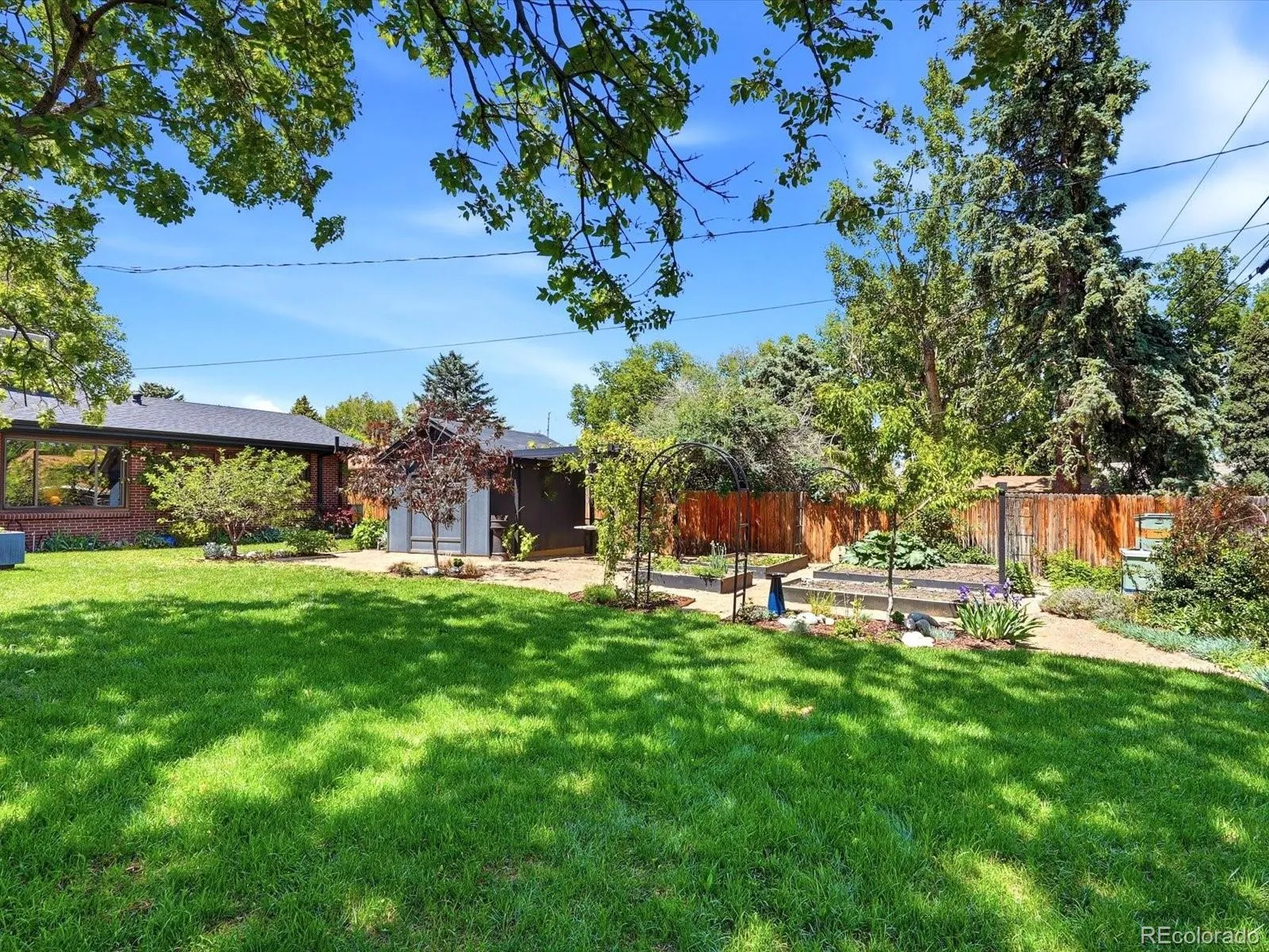 4440 Teller Street Wheat Ridge CO 80033 MLS #REC9017829 05242026053140 1600 42
