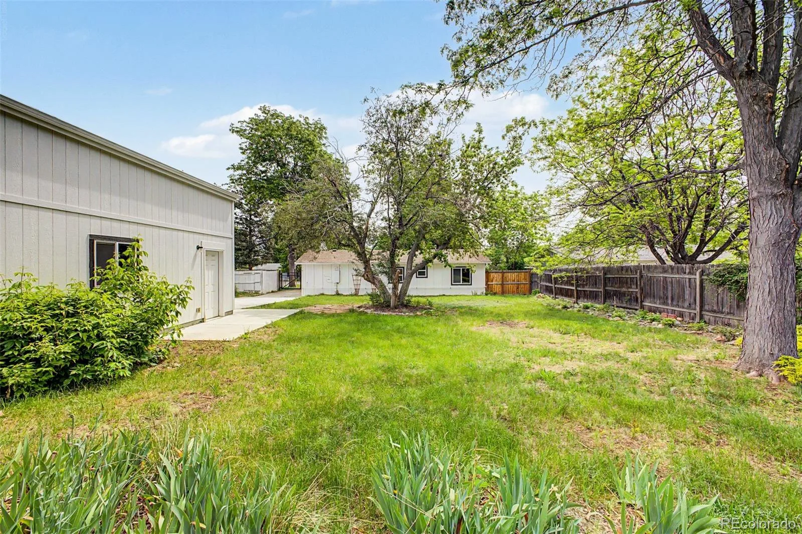 939 Terry Street Golden CO 80401 MLS #REC9027880 06112026170147 1600 24