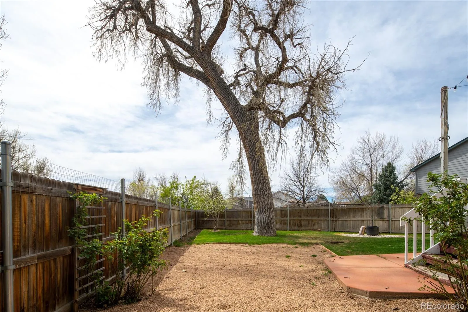 04092026175027 1600 24