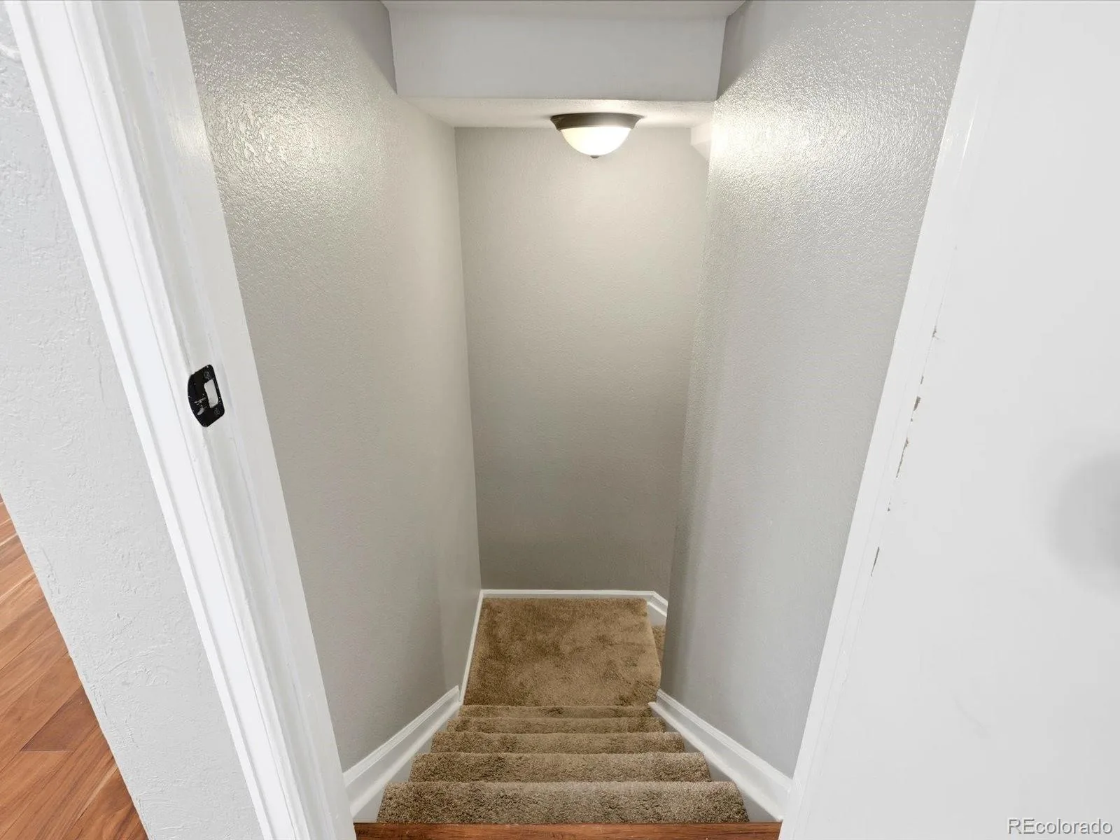 13453 Glen Circle Broomfield CO 80020 | MLS #REC9034076 08272026013448 1600 35