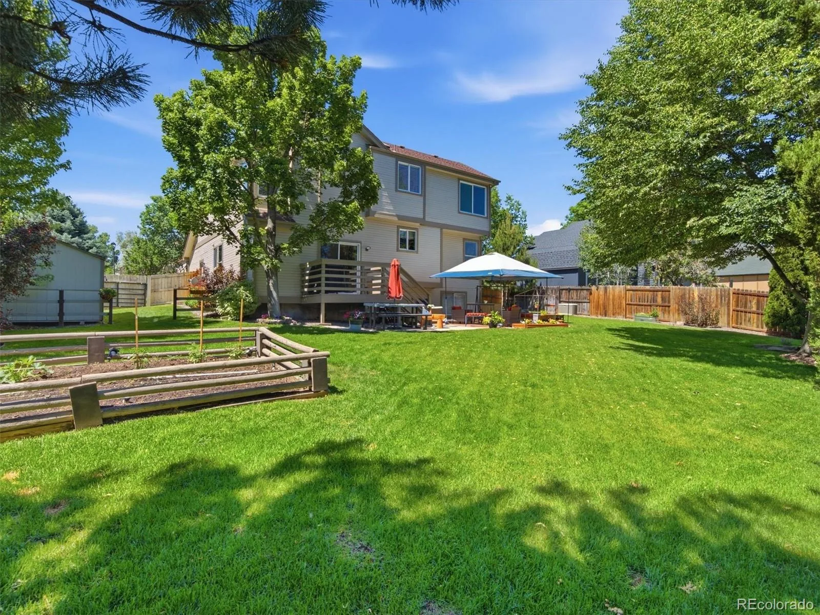 7977 W Morraine Drive Littleton CO 80128 | MLS #REC9042020 06122026174939 1600 30