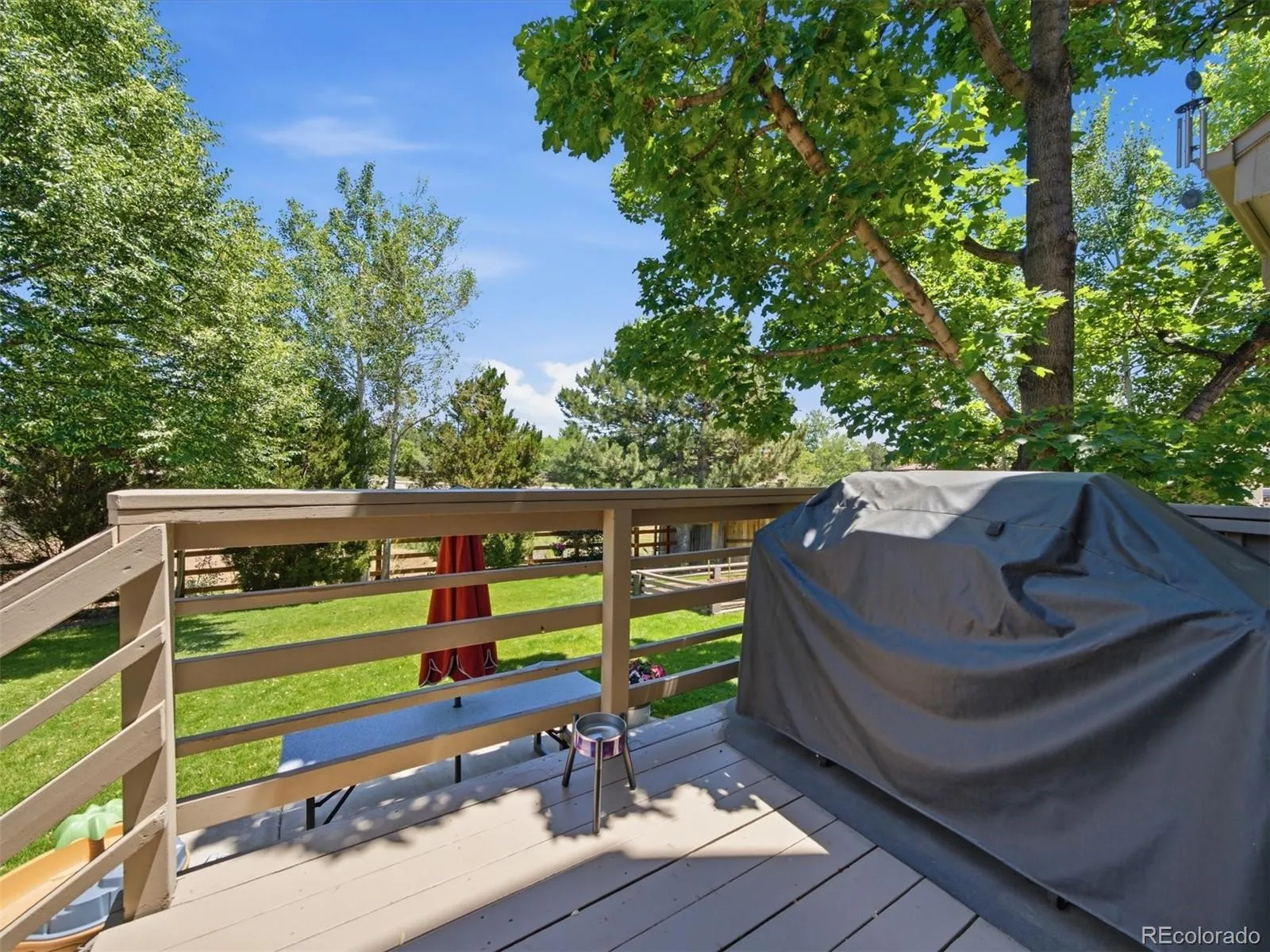 7977 W Morraine Drive Littleton CO 80128 | MLS #REC9042020 06122026174939 1600 34