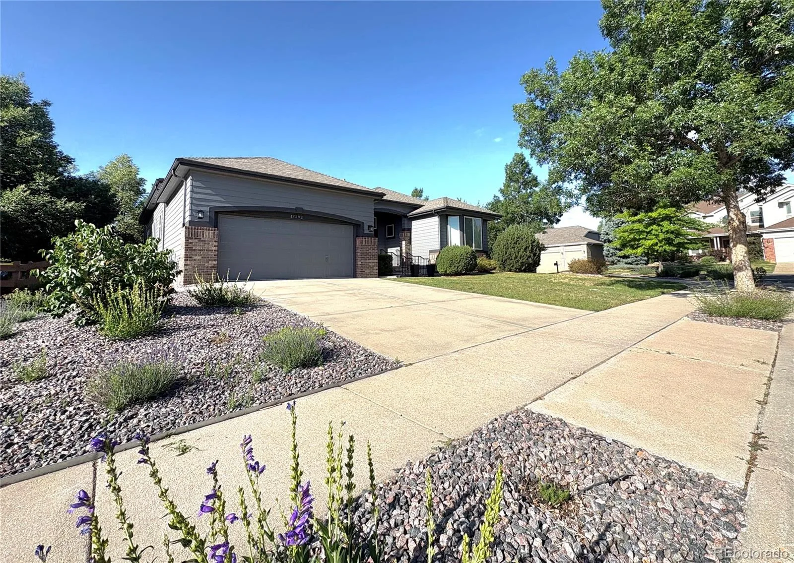 17292 W 62nd Court Arvada CO 80403 MLS #REC9056065 06162026015505 1600 23