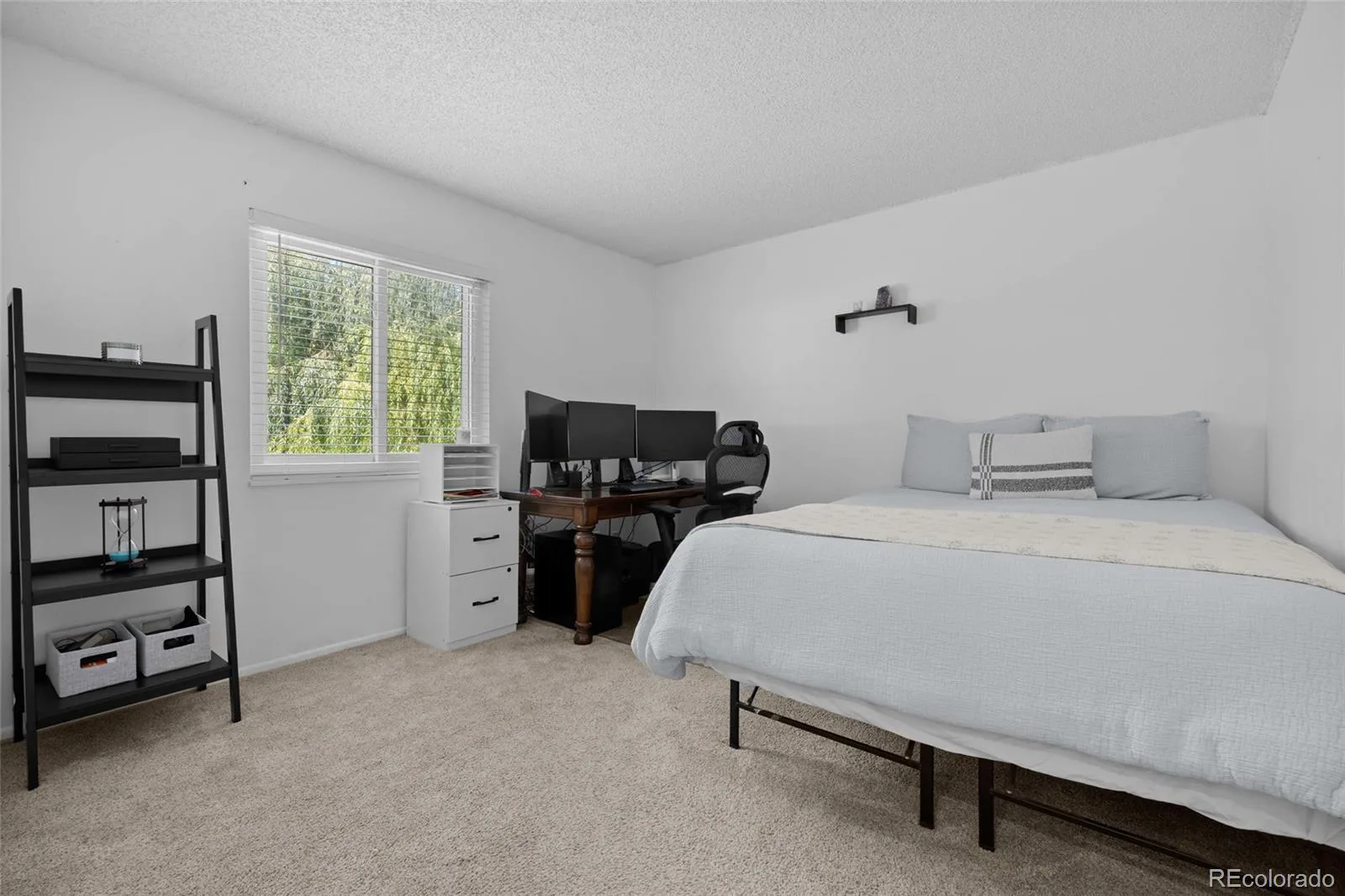 6209 S Lee Street Littleton CO 80127 | MLS #REC9058352 07202026030407 1600 20