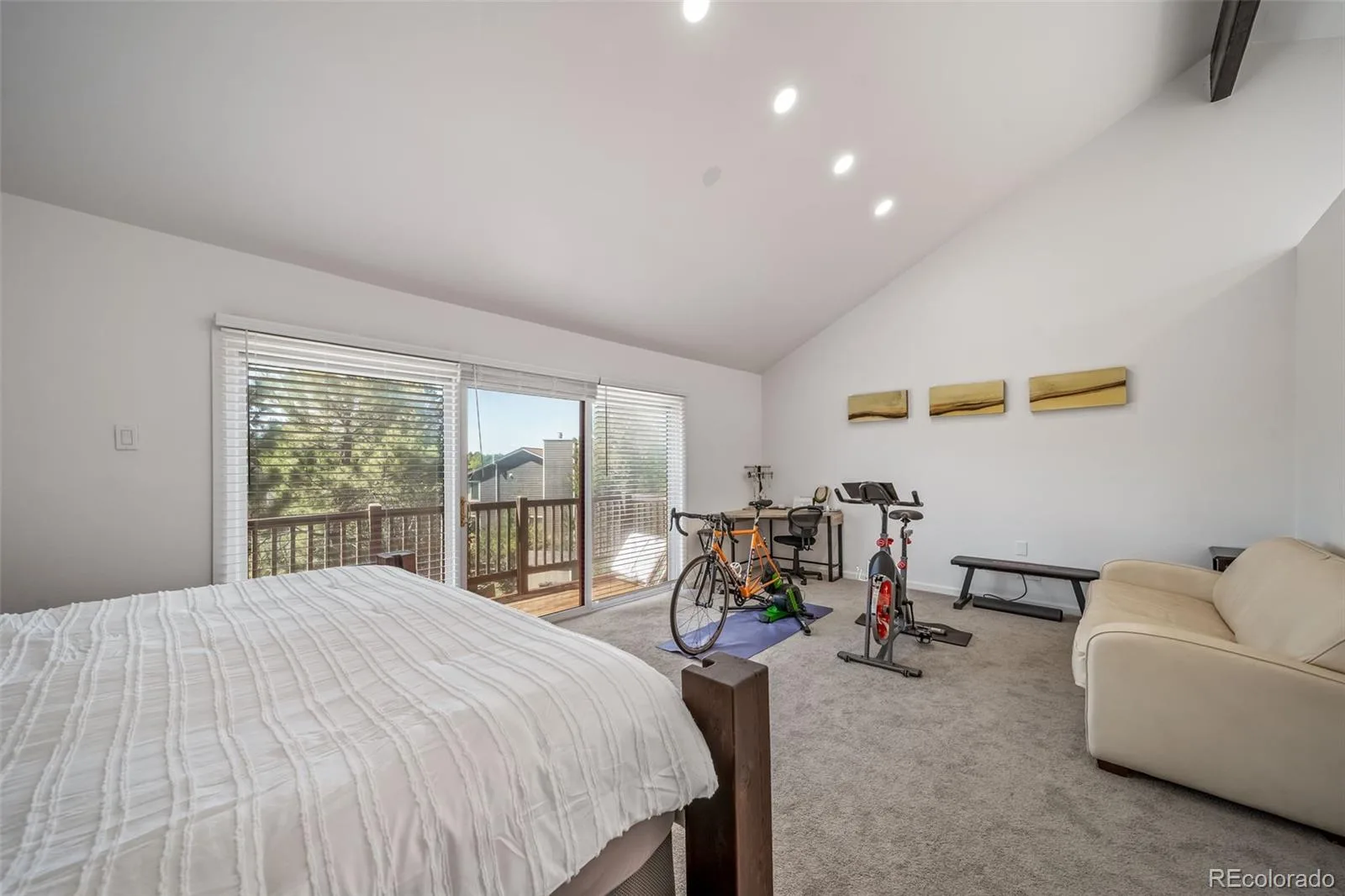 8238 Lakeshore Drive Parker CO 80134 | MLS #REC9060130 07172026164753 1600 18
