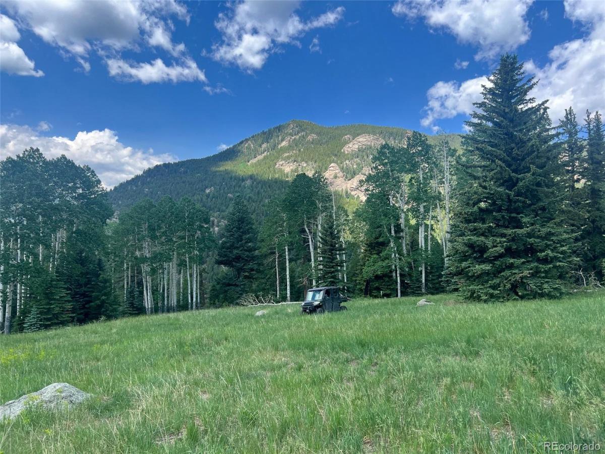 MLS #REC9060728 image #0