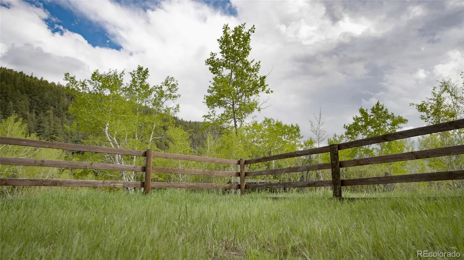 950 Corral Creek Road Evergreen CO 80439 | MLS #REC9060728 05012026043823 1600 16