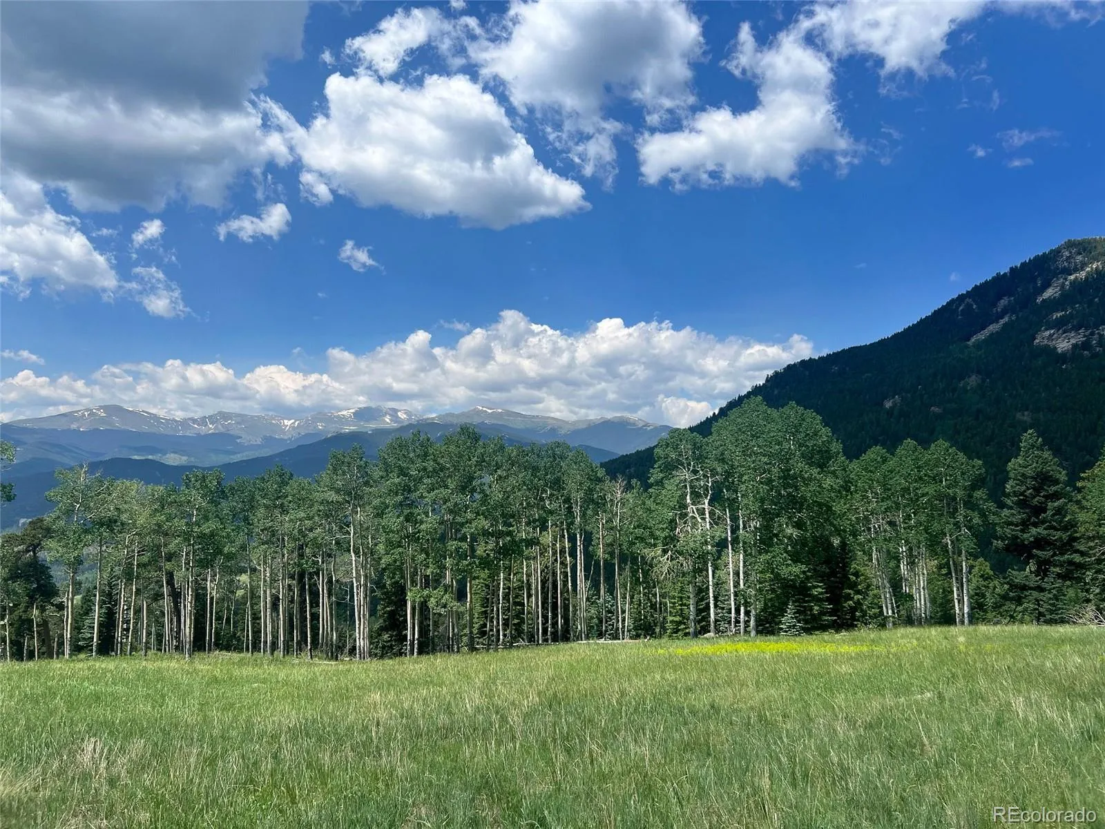 950 Corral Creek Road Evergreen CO 80439 | MLS #REC9060728 05012026043823 1600 23
