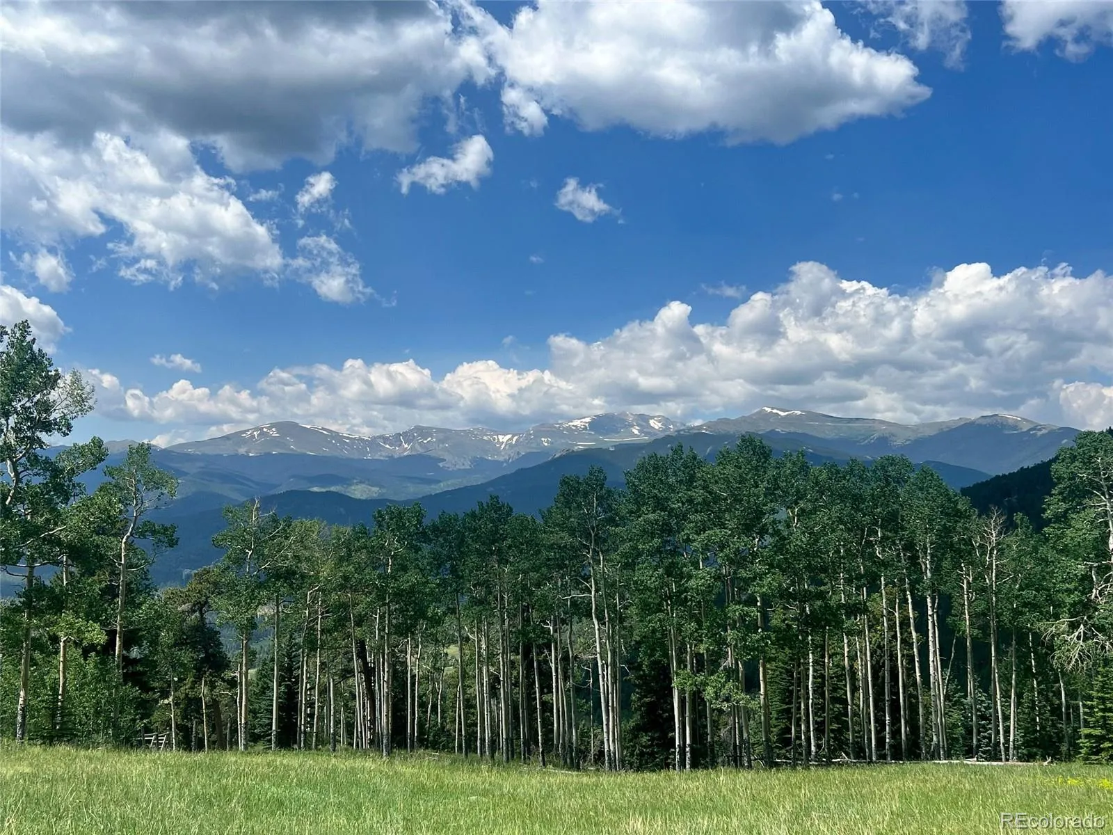 950 Corral Creek Road Evergreen CO 80439 | MLS #REC9060728 05012026043823 1600 24