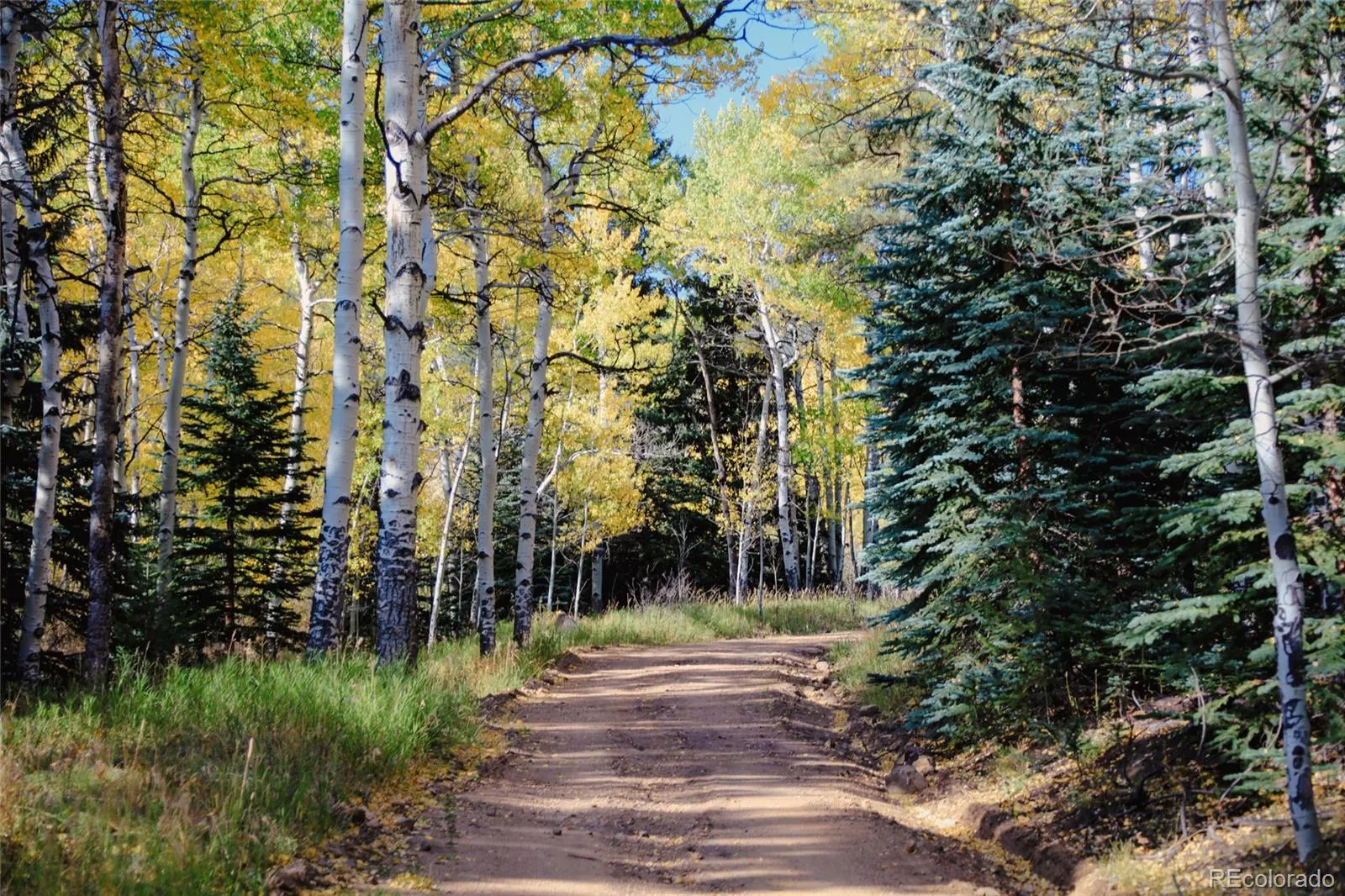 950 Corral Creek Road Evergreen CO 80439 | MLS #REC9060728 05012026043823 1600 29