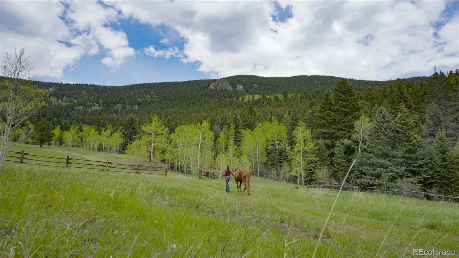 950 Corral Creek Road Evergreen CO 80439 | MLS #REC9060728 05012026043823 1600 3