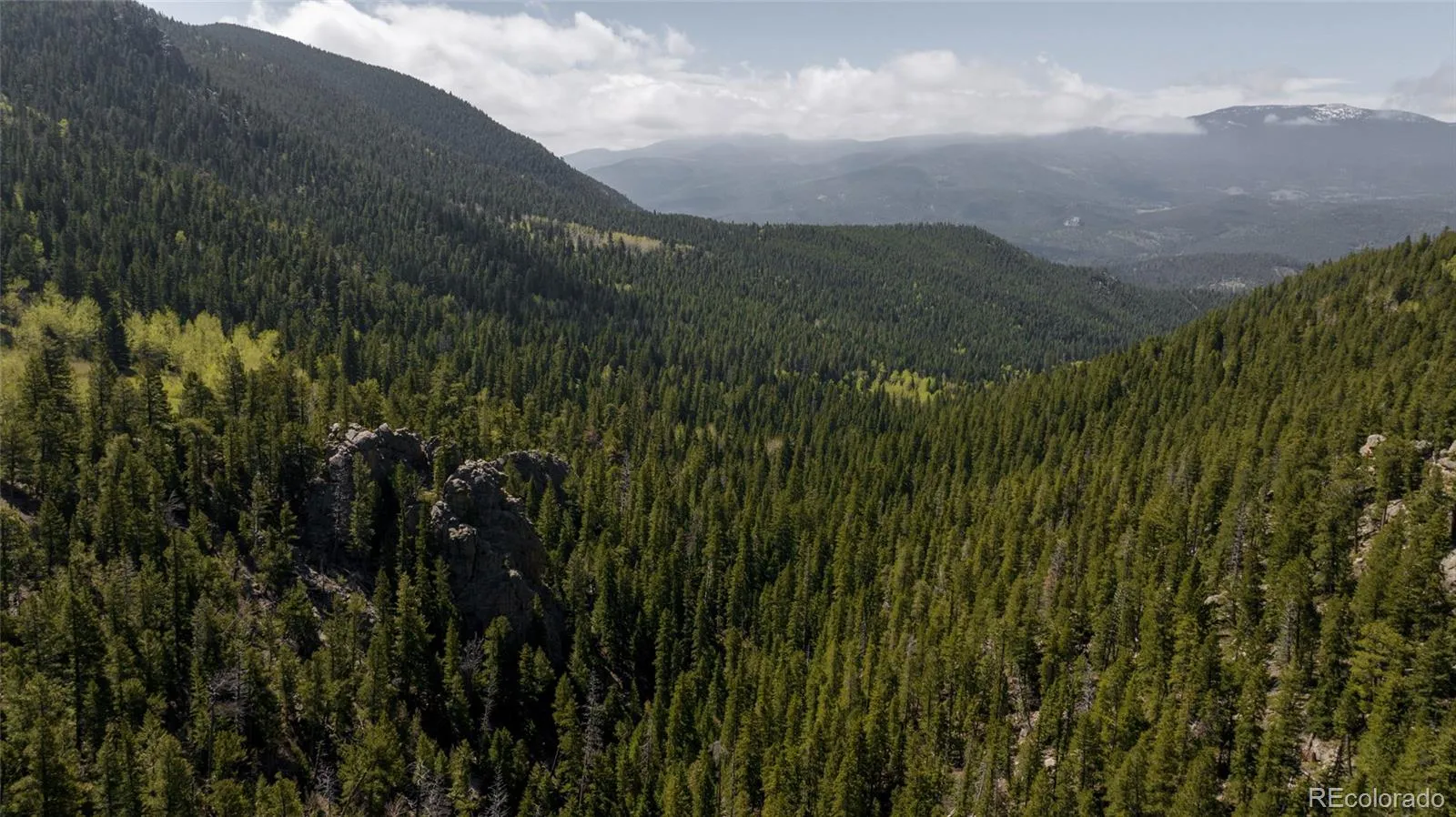 950 Corral Creek Road Evergreen CO 80439 | MLS #REC9060728 05012026043823 1600 34