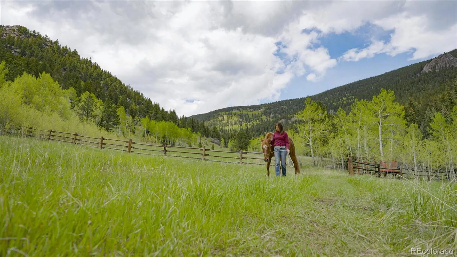 950 Corral Creek Road Evergreen CO 80439 | MLS #REC9060728 05012026043823 1600 36
