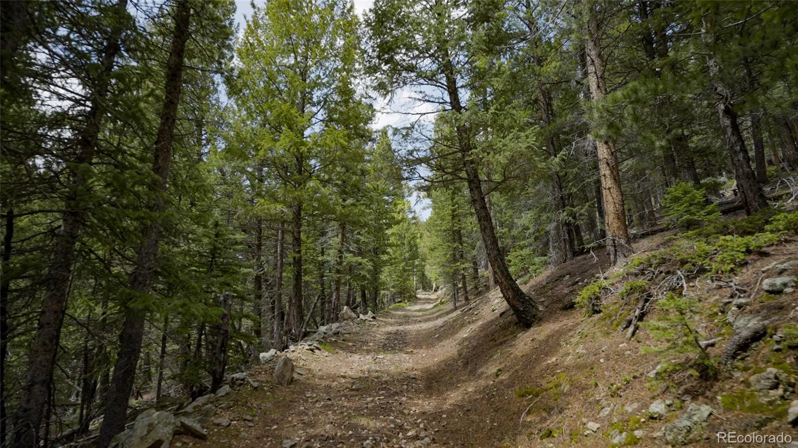 950 Corral Creek Road Evergreen CO 80439 | MLS #REC9060728 05012026043823 1600 4