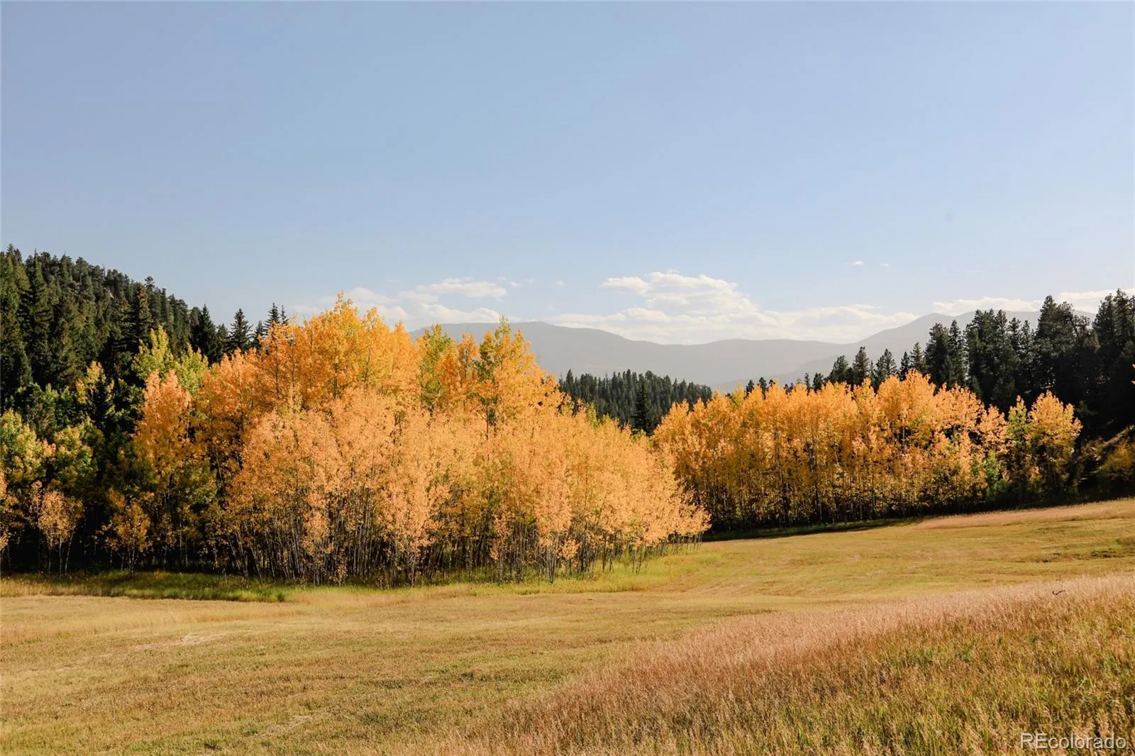 950 Corral Creek Road Evergreen CO 80439 | MLS #REC9060728 05012026043823 1600 40