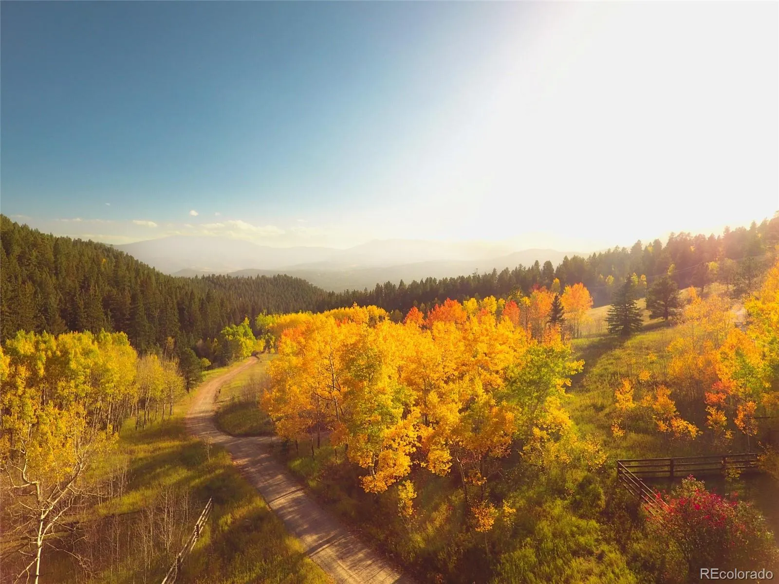 950 Corral Creek Road Evergreen CO 80439 | MLS #REC9060728 05012026043823 1600 43