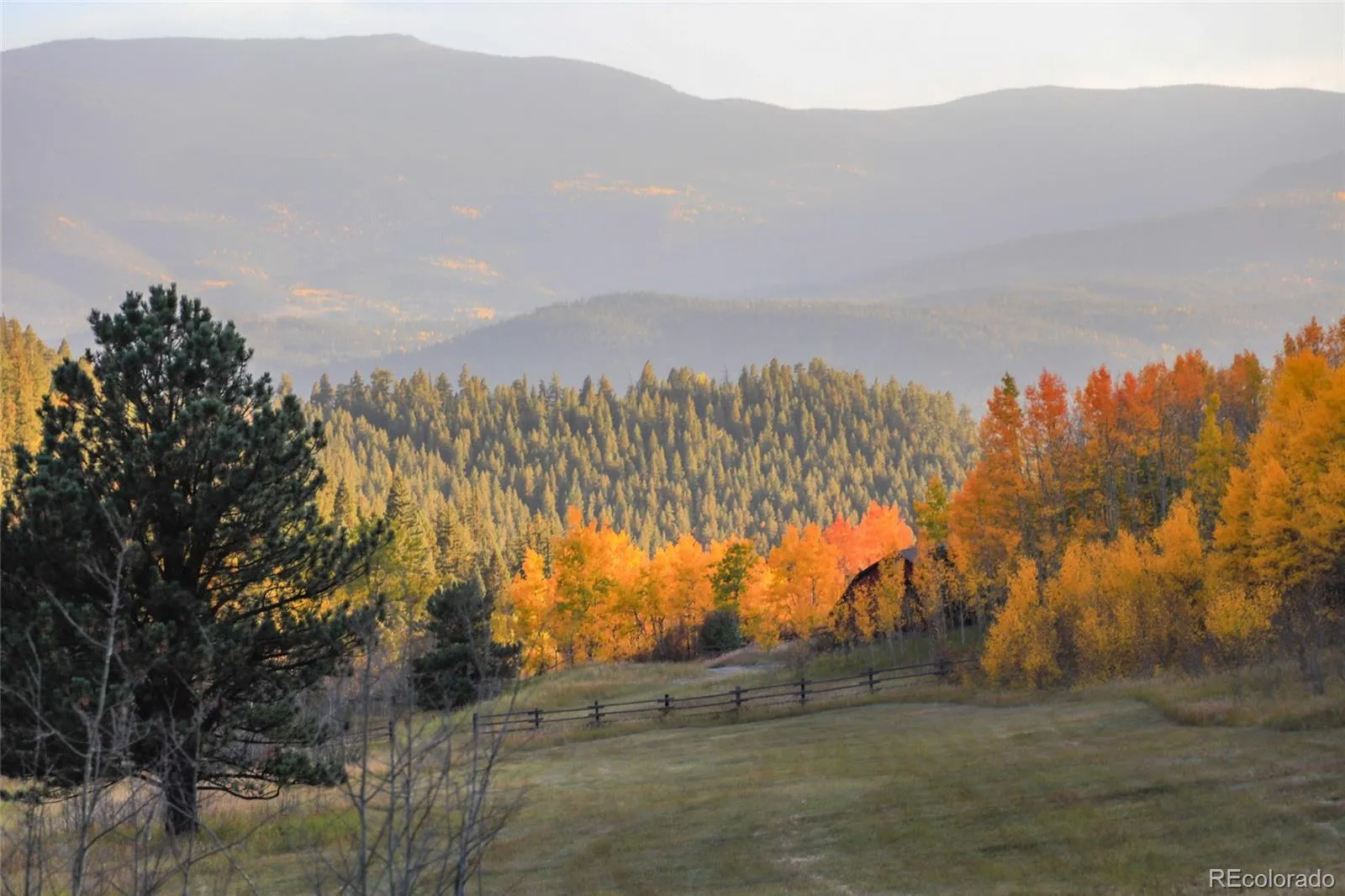 950 Corral Creek Road Evergreen CO 80439 | MLS #REC9060728 05012026043823 1600 46