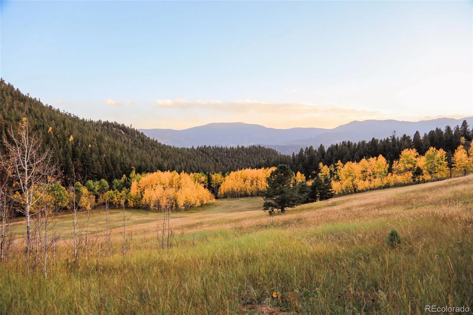 950 Corral Creek Road Evergreen CO 80439 | MLS #REC9060728 05012026043823 1600 47