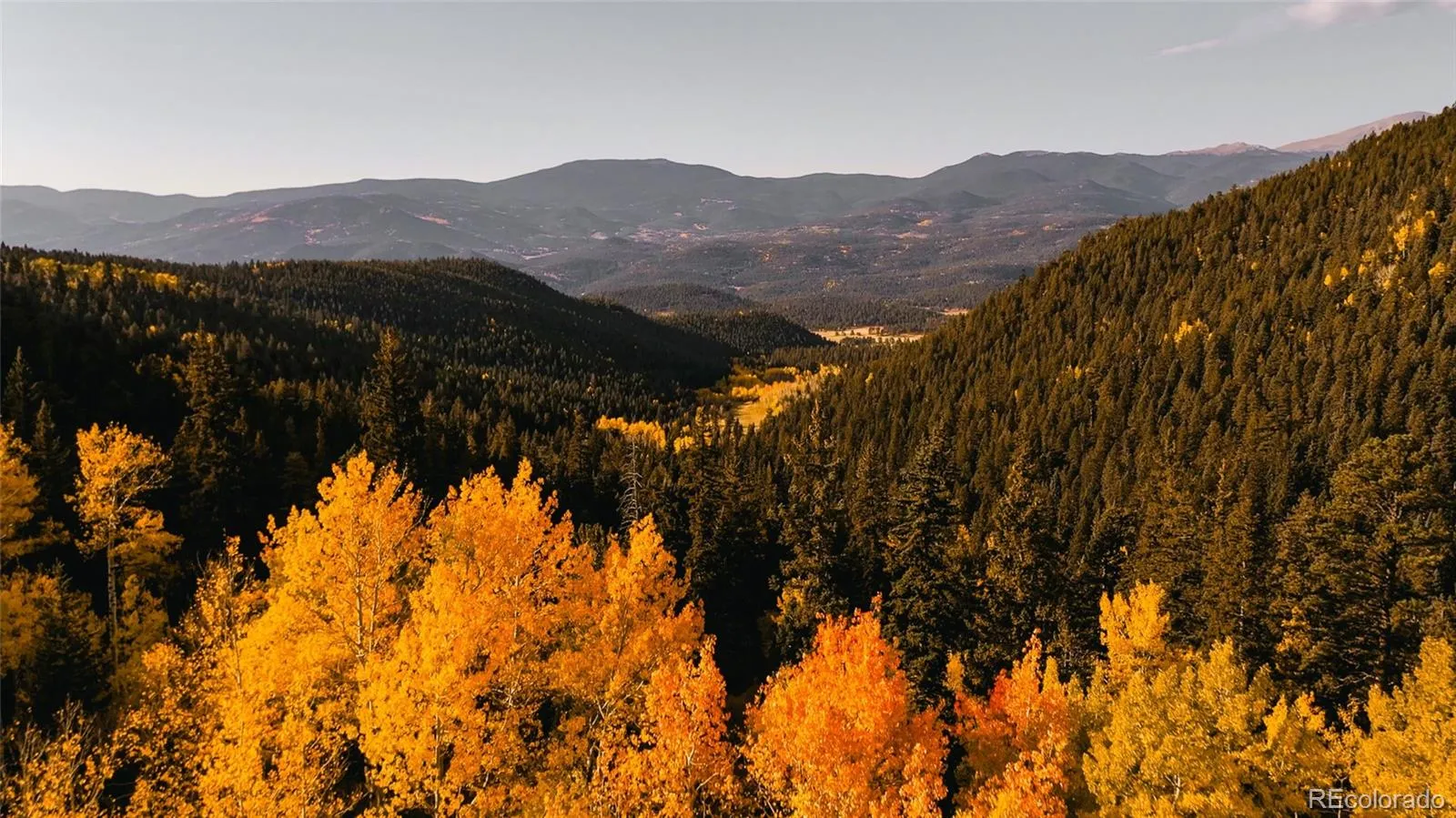 950 Corral Creek Road Evergreen CO 80439 | MLS #REC9060728 05012026043823 1600 49