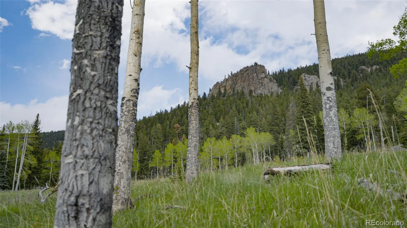 950 Corral Creek Road Evergreen CO 80439 | MLS #REC9060728 05012026043823 1600 5