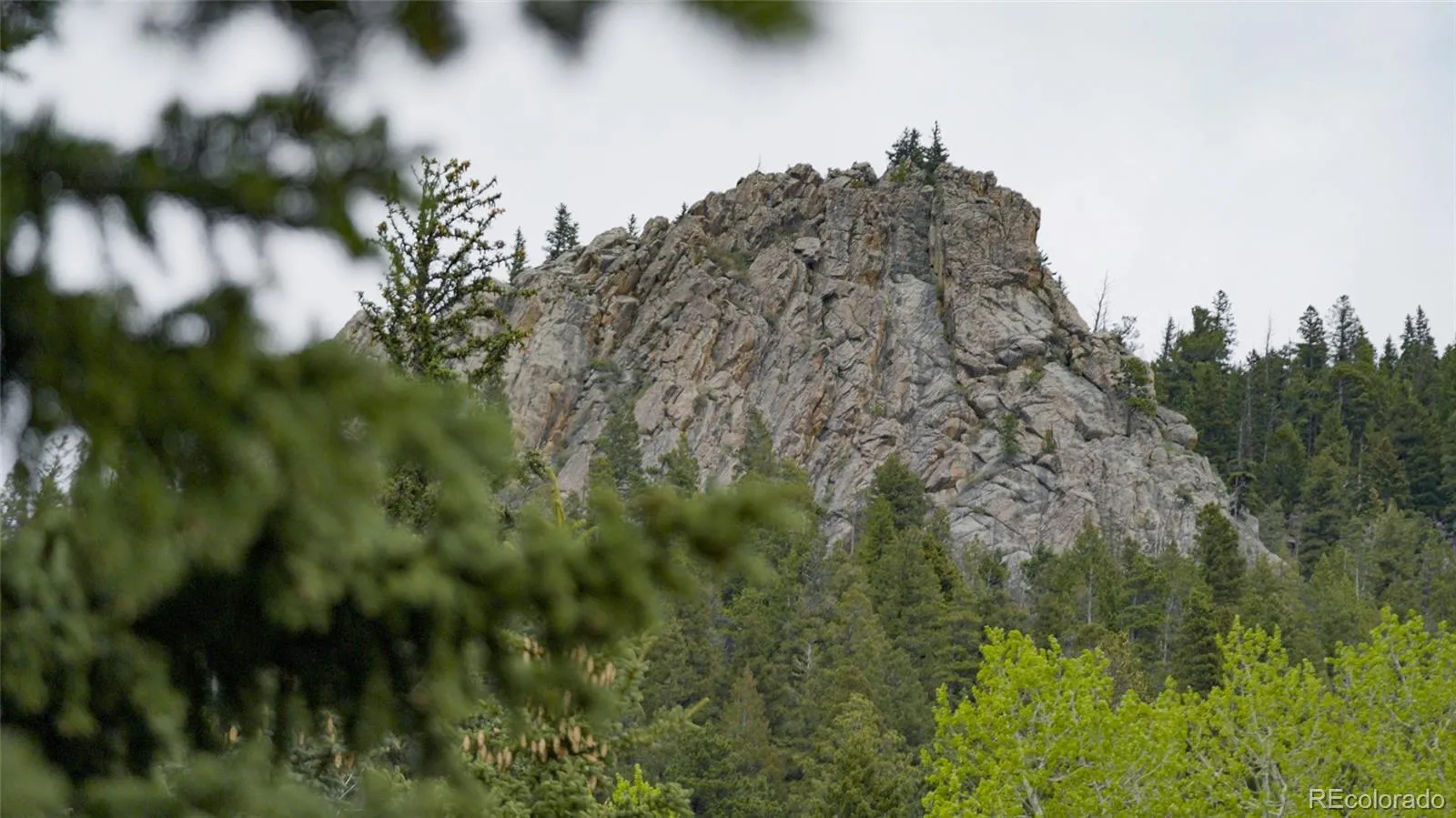 950 Corral Creek Road Evergreen CO 80439 | MLS #REC9060728 05012026043823 1600 6