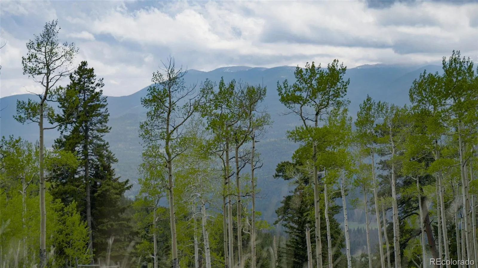 950 Corral Creek Road Evergreen CO 80439 | MLS #REC9060728 05012026043823 1600 7