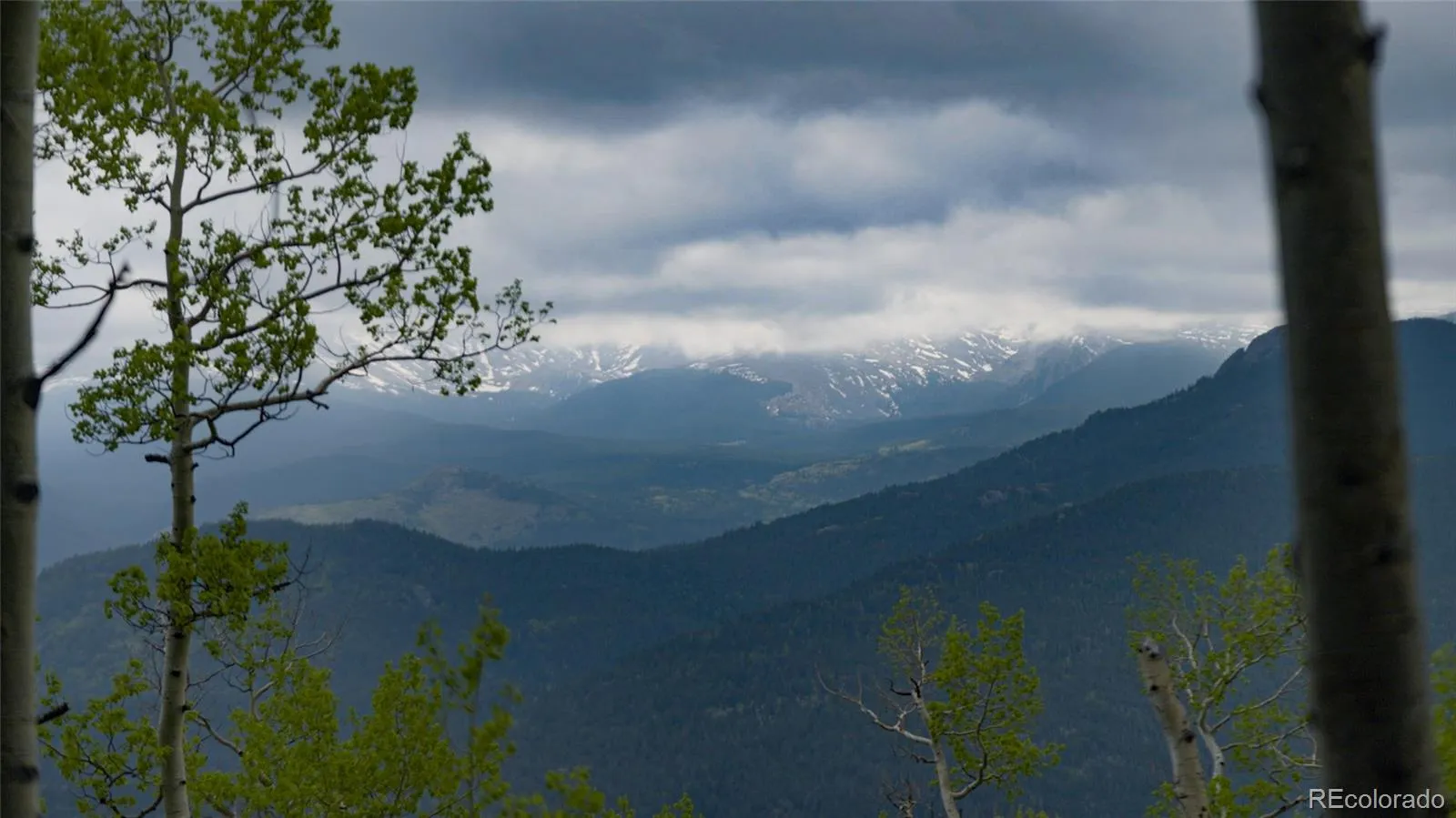 950 Corral Creek Road Evergreen CO 80439 | MLS #REC9060728 05012026043823 1600 8
