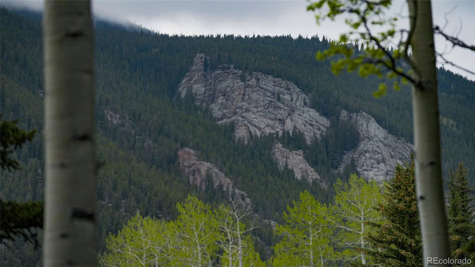 950 Corral Creek Road Evergreen CO 80439 | MLS #REC9060728 05012026043823 1600 9