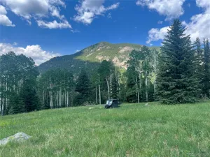 950 Corral Creek Road Evergreen CO 80439 | MLS #REC9060728 05012026043823 300 0