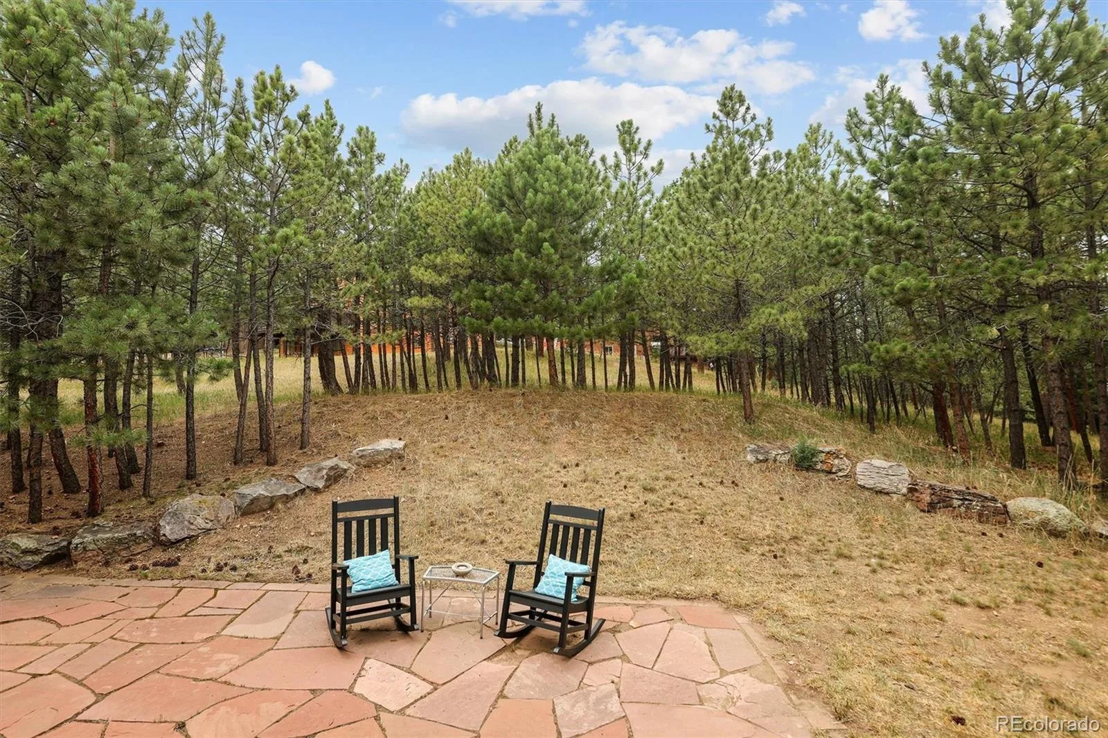 865 Aster Way Golden CO 80401 | MLS #REC9070717 08182026210037 1600 14