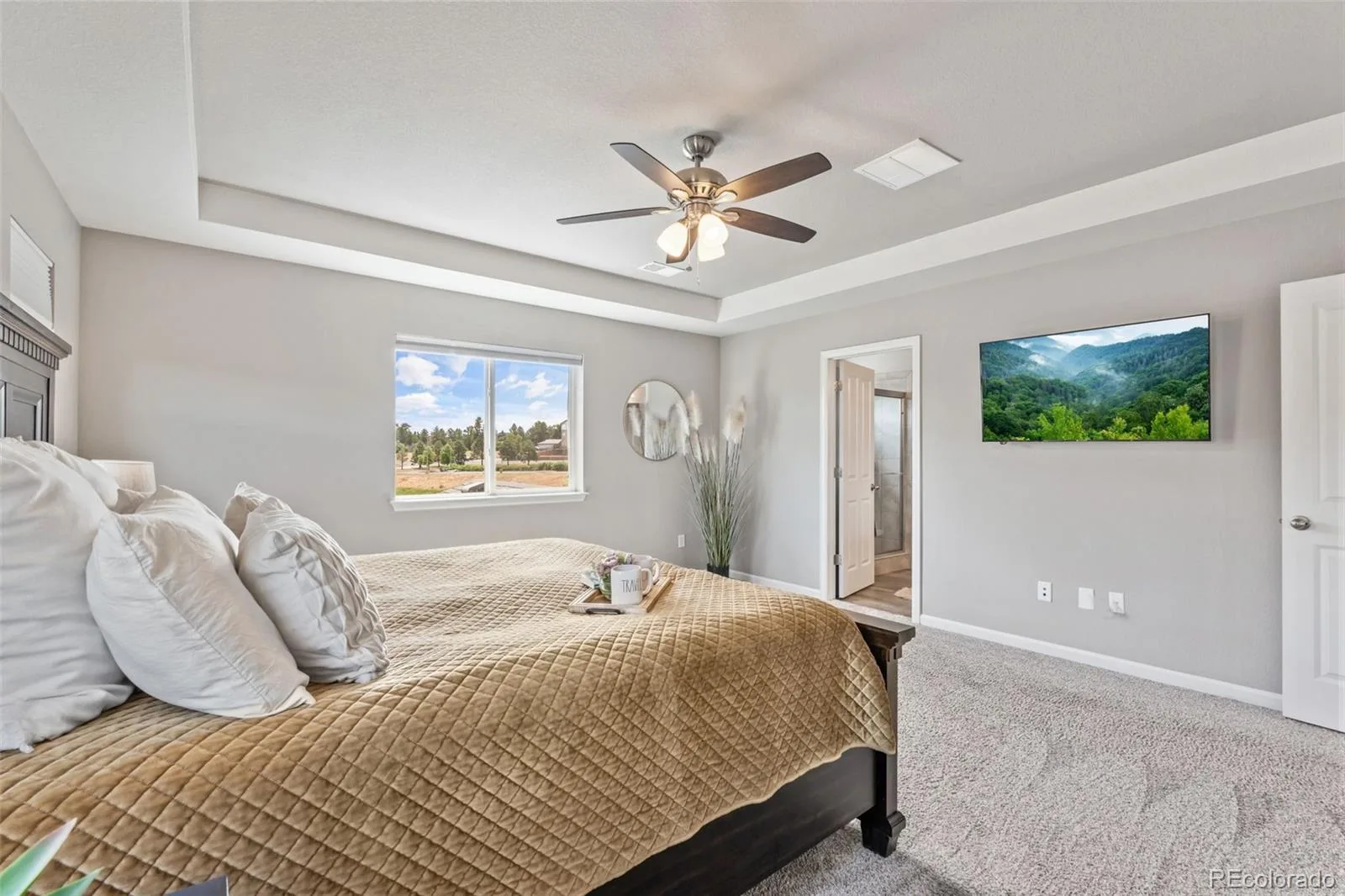 1414 Castle Creek Circle Castle Rock CO 80104 | MLS #REC9071494 08312026165000 1600 15