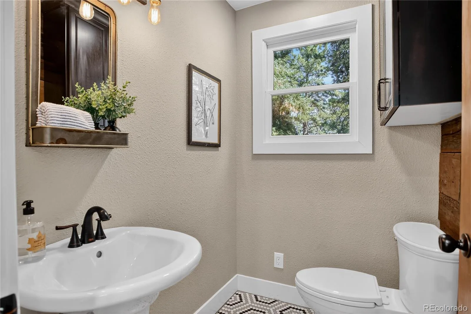7643 Red Fox Drive Evergreen CO 80439 | MLS #REC9072991 07092026164201 1600 17
