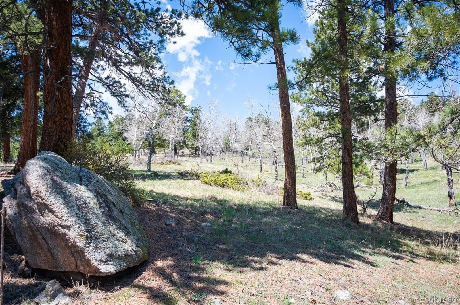 TBD Pine Valley Road Evergreen CO 80439 | MLS #REC9085778 04282026121752 1600 10