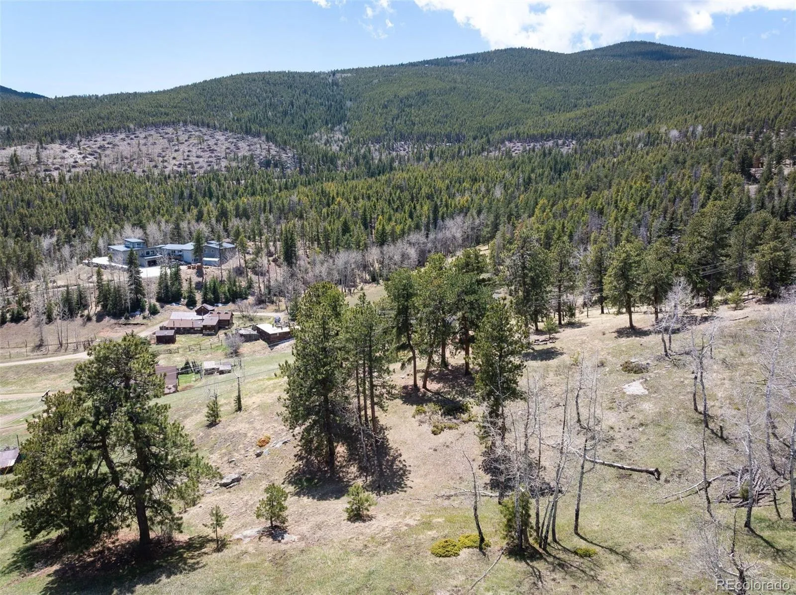 TBD Pine Valley Road Evergreen CO 80439 | MLS #REC9085778 04282026121752 1600 12