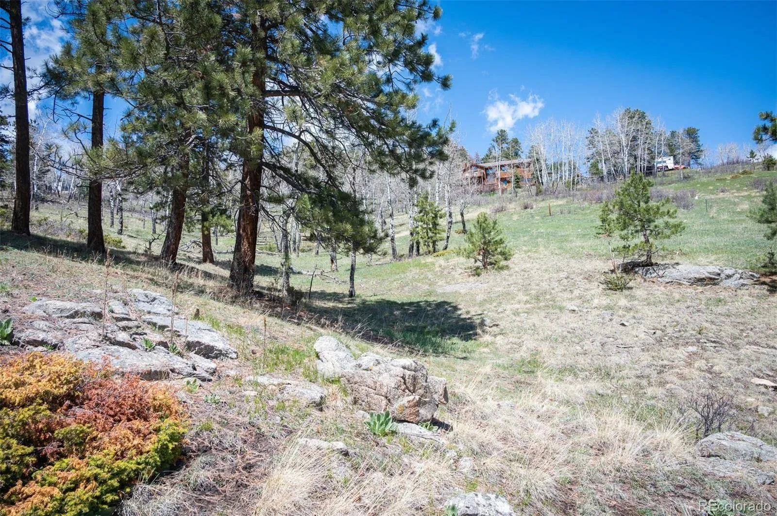 TBD Pine Valley Road Evergreen CO 80439 | MLS #REC9085778 04282026121752 1600 13