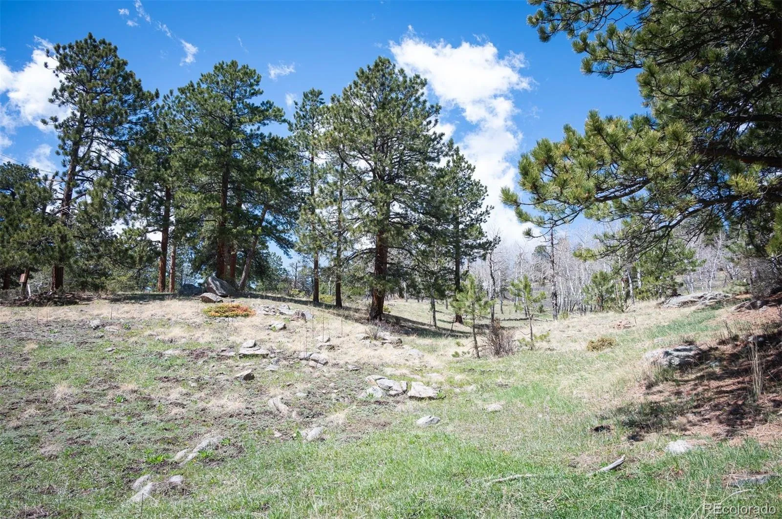 TBD Pine Valley Road Evergreen CO 80439 | MLS #REC9085778 04282026121752 1600 15