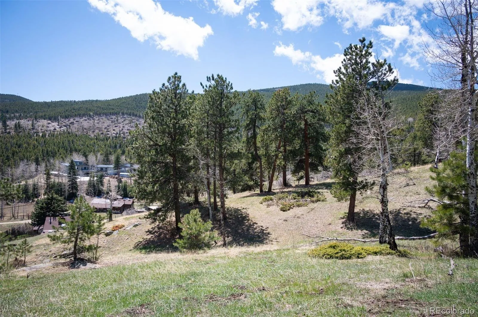 TBD Pine Valley Road Evergreen CO 80439 | MLS #REC9085778 04282026121752 1600 2