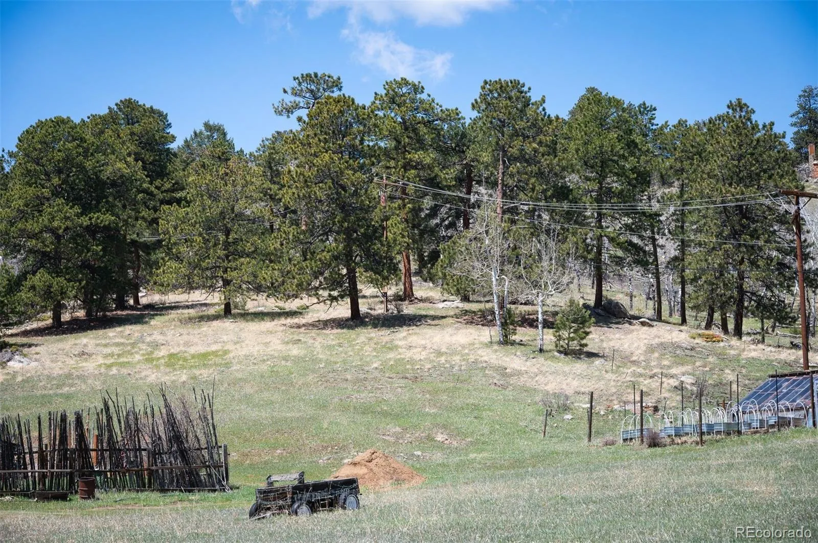 TBD Pine Valley Road Evergreen CO 80439 | MLS #REC9085778 04282026121752 1600 23