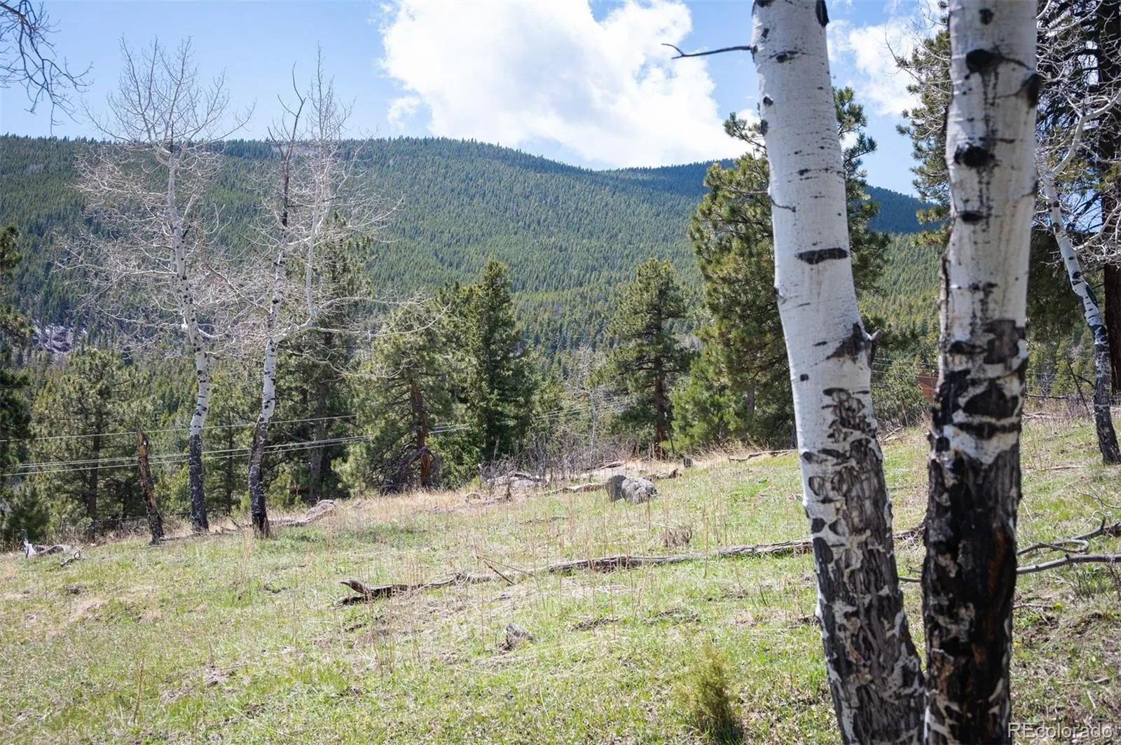TBD Pine Valley Road Evergreen CO 80439 | MLS #REC9085778 04282026121752 1600 28
