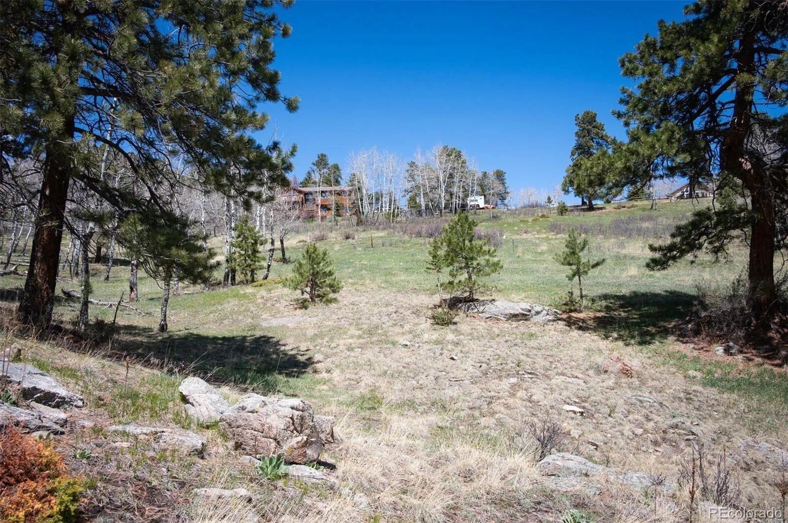 TBD Pine Valley Road Evergreen CO 80439 | MLS #REC9085778 04282026121752 1600 3