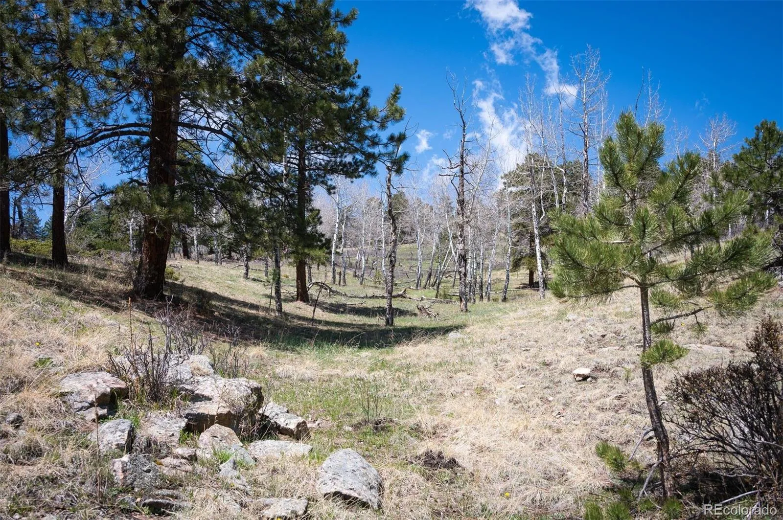 TBD Pine Valley Road Evergreen CO 80439 | MLS #REC9085778 04282026121752 1600 6