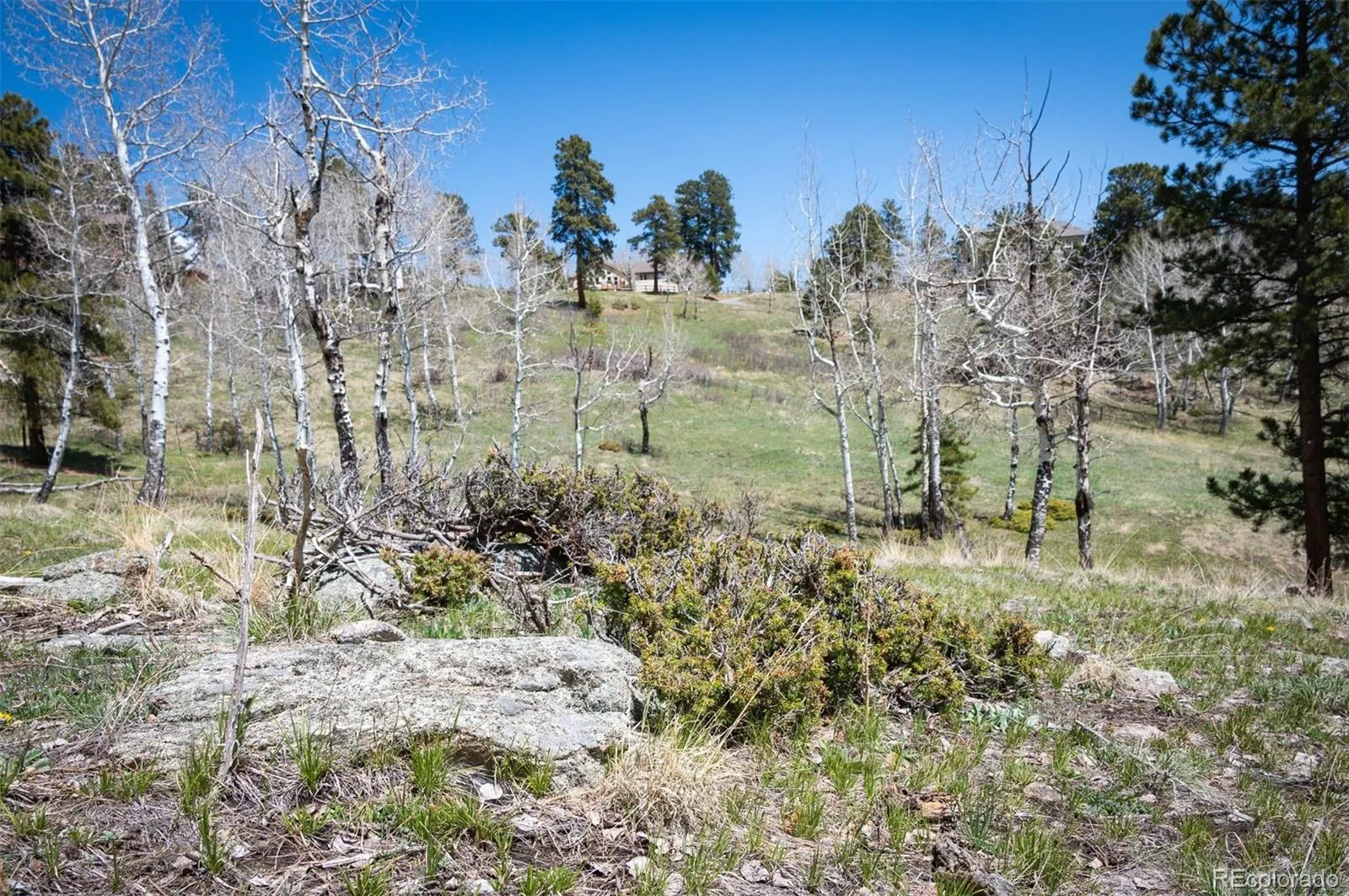 TBD Pine Valley Road Evergreen CO 80439 | MLS #REC9085778 04282026121752 1600 7