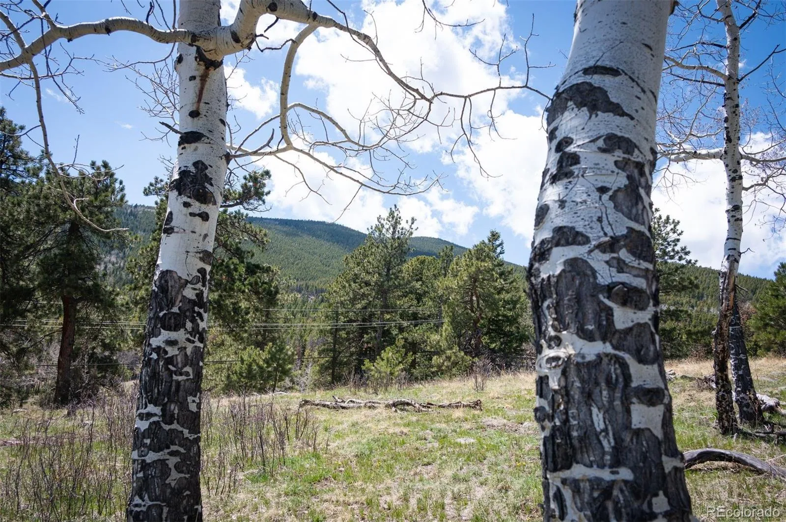 TBD Pine Valley Road Evergreen CO 80439 | MLS #REC9085778 04282026121752 1600 9