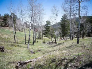 TBD Pine Valley Road Evergreen CO 80439 | MLS #REC9085778 04282026121752 300 0