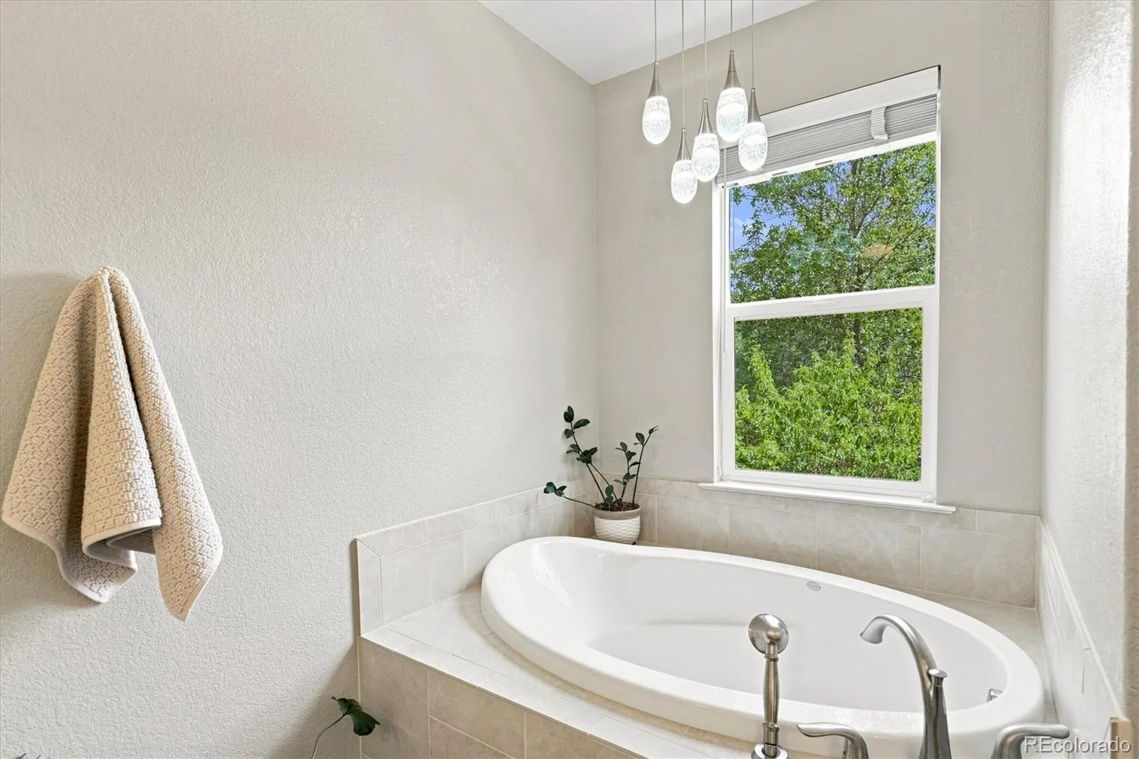649 W Burgundy Street #C Highlands Ranch CO 80129 | MLS #REC9094534 08202026165032 1600 35