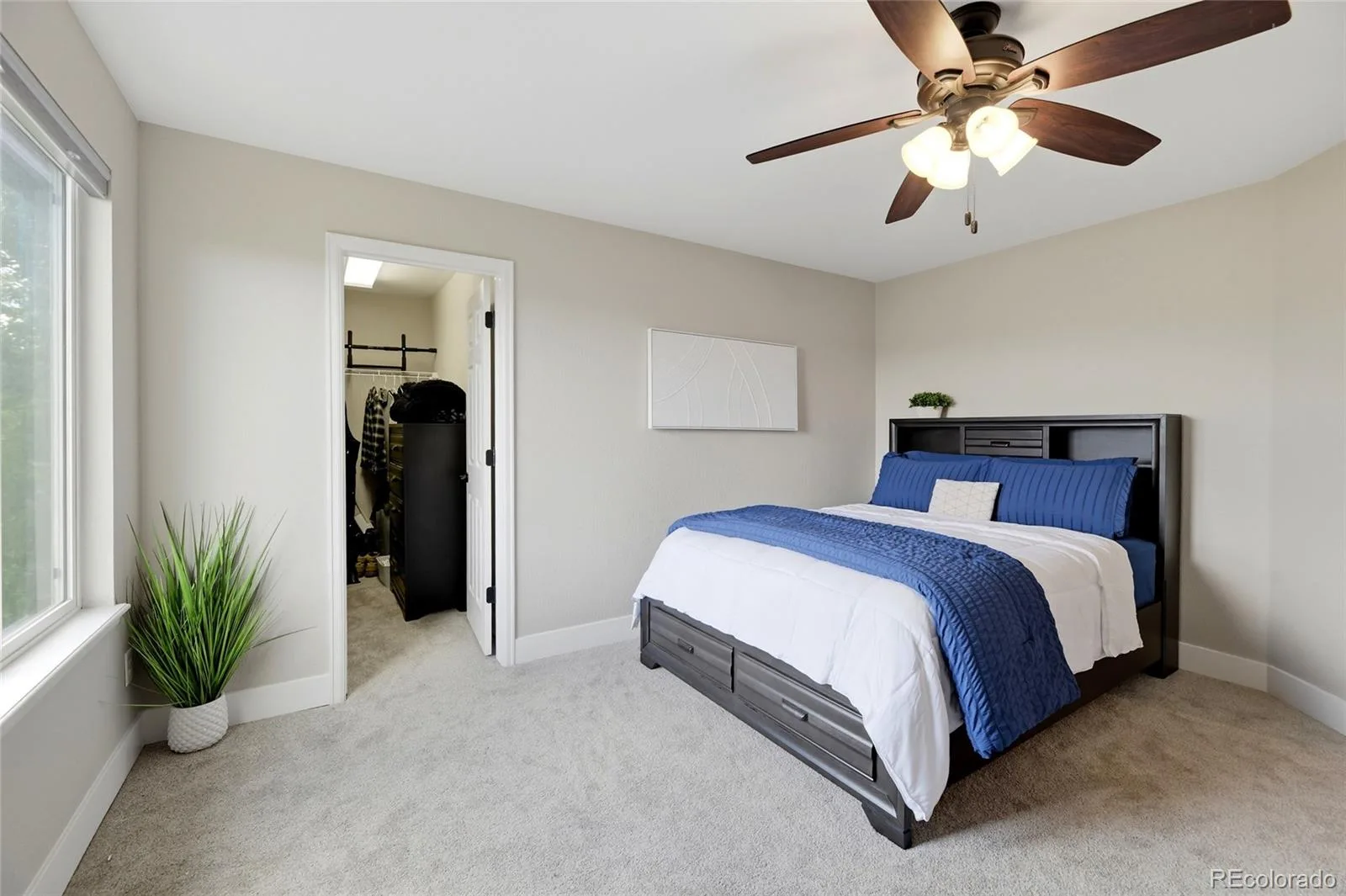 652 Cinnabar Lane Castle Rock CO 80108 | MLS #REC9095304 08142026023300 1600 22