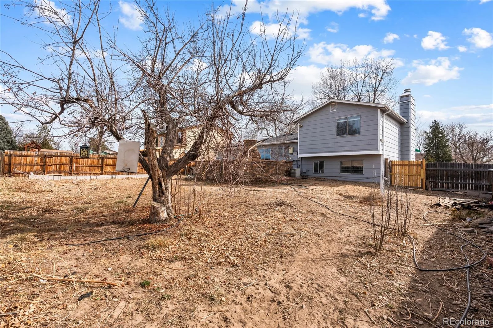 4609 Fontana Way Denver CO 80239 | MLS #REC9102019 08112026180737 1600 18