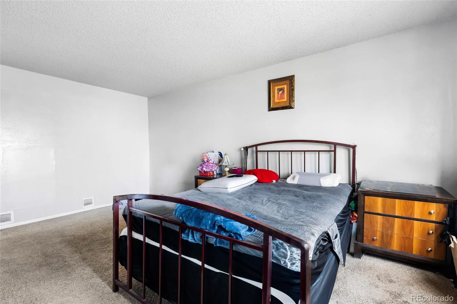 4609 Fontana Way Denver CO 80239 | MLS #REC9102019 08112026180737 1600 9